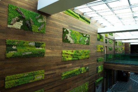 The Importance of FSC, PEFC and EPD Certifications in Eco-Friendly Building Materials